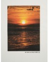 T-shirt Sunset LPC